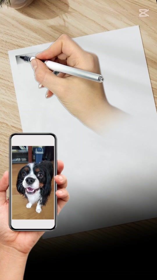 TikTok video thumbnail by coco55789321