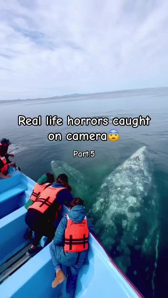 TikTok video thumbnail by thisunknownplanet