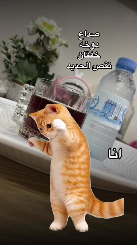 TikTok video thumbnail by ny_uoom