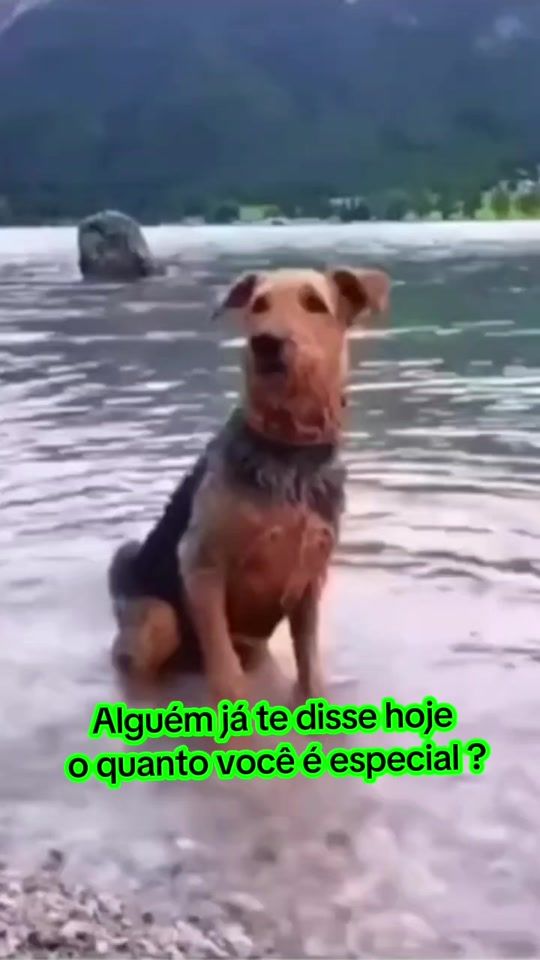 TikTok video thumbnail by izackalves01