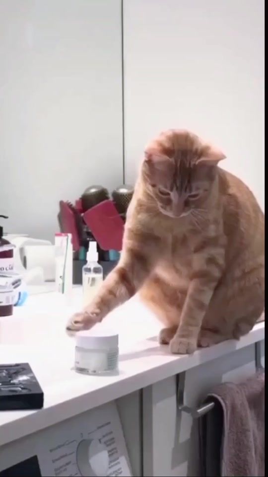 TikTok video thumbnail by mulloheenbaba