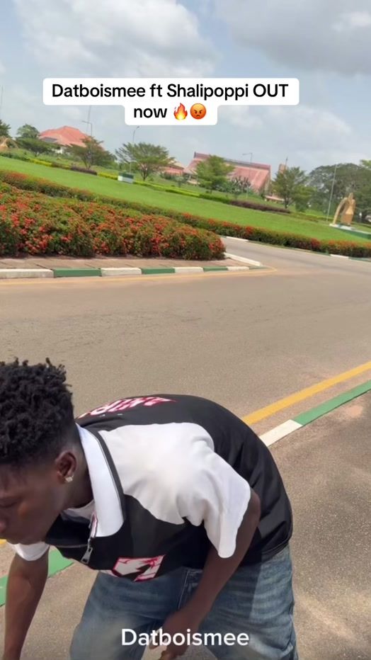 TikTok video thumbnail by datboismee1