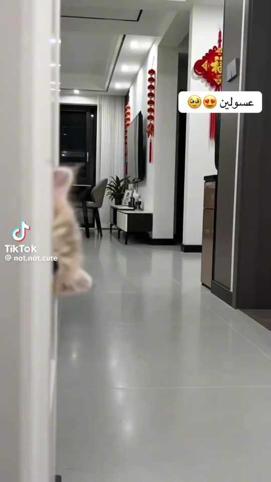 TikTok video thumbnail by asmaaswasye