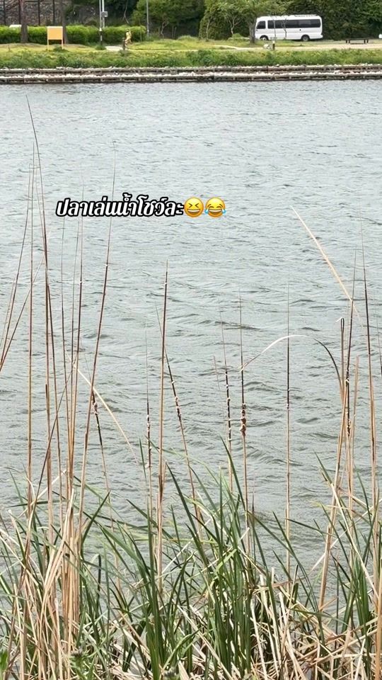 TikTok video thumbnail by nammon870515