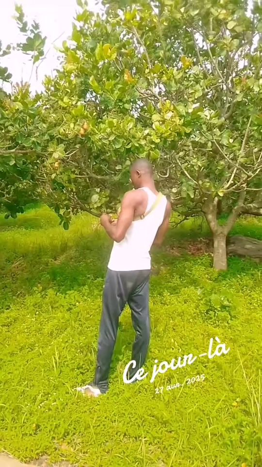 TikTok video thumbnail by fort.sacre