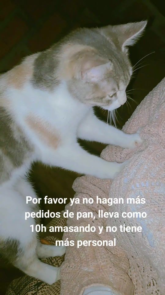 TikTok video thumbnail by ange25.7