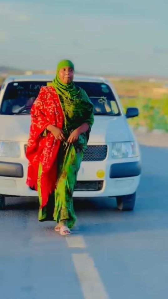 TikTok video thumbnail by goosha_daarood