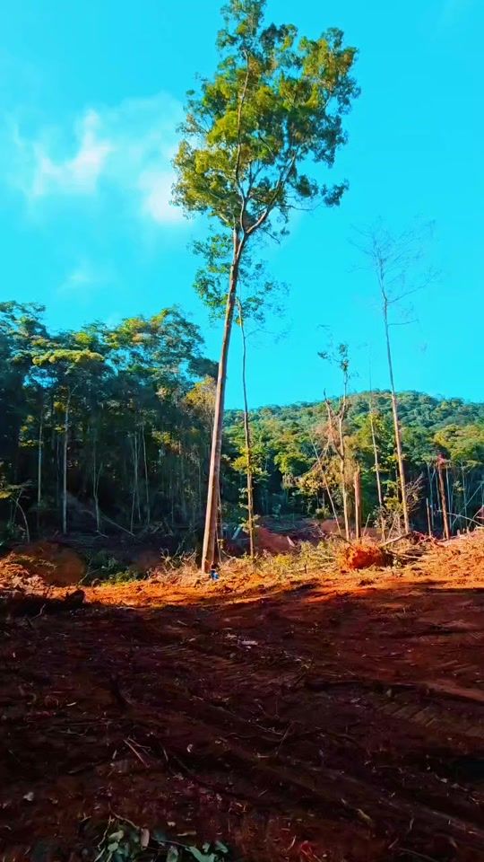 TikTok video thumbnail by limaslima933