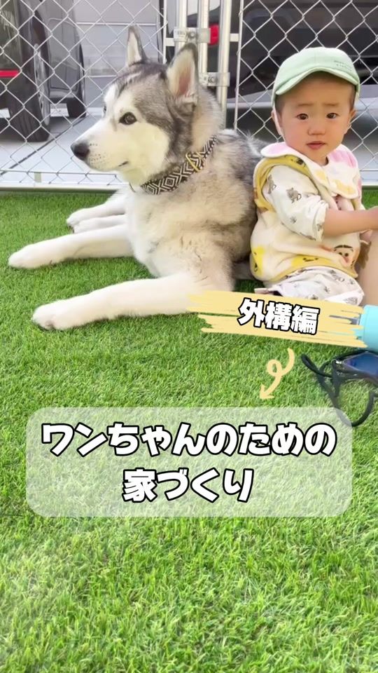TikTok video thumbnail by kent_nft