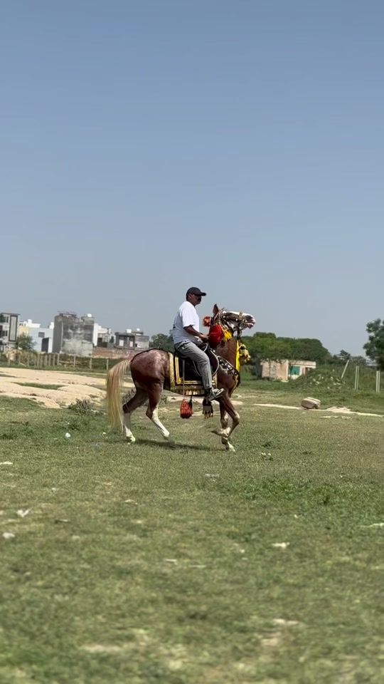 TikTok video thumbnail by gujjar.123.com