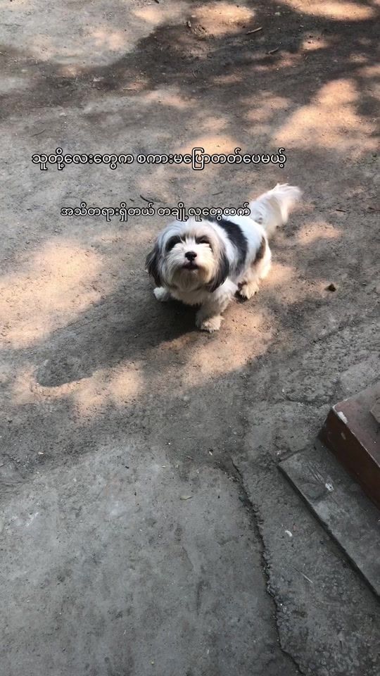 TikTok video thumbnail by maphoo400