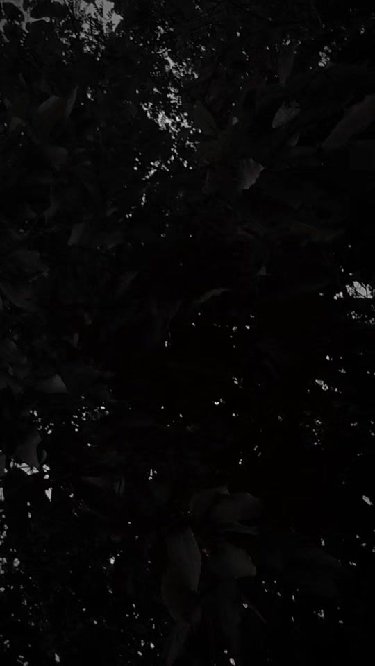 TikTok video thumbnail by ei.kyal.sin96