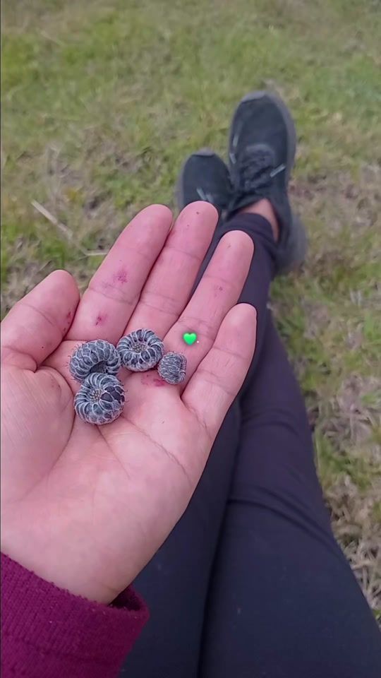 TikTok video thumbnail by ramos_sg