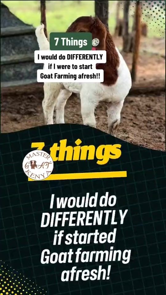 TikTok video thumbnail by goatmaster_ke