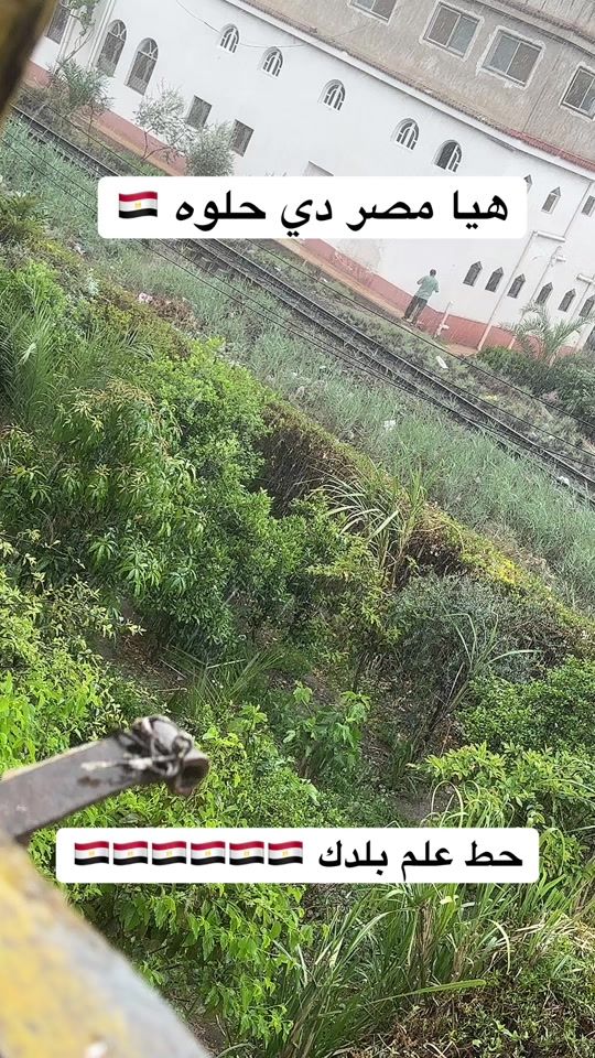 TikTok video thumbnail by borkan.live