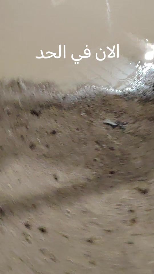 TikTok video thumbnail by user57742558227515