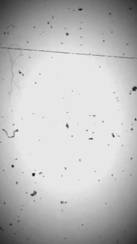 TikTok video thumbnail by mood.off970