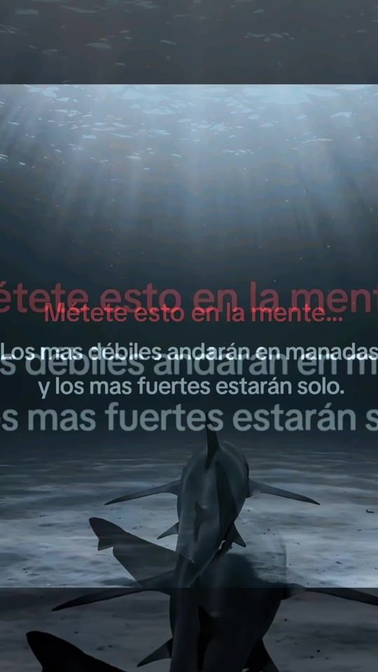 TikTok video thumbnail by venadoconversiones
