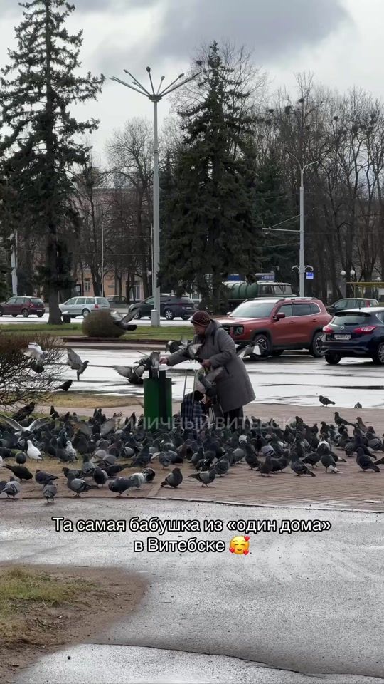 TikTok video thumbnail by typical_vitebsk
