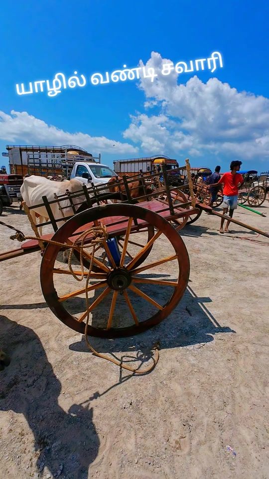 TikTok video thumbnail by jaffnarajith000