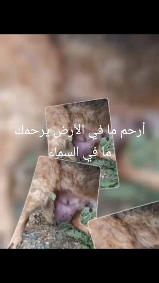 TikTok video thumbnail by eliemoussa112
