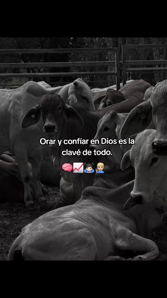 TikTok video thumbnail by moreno5752