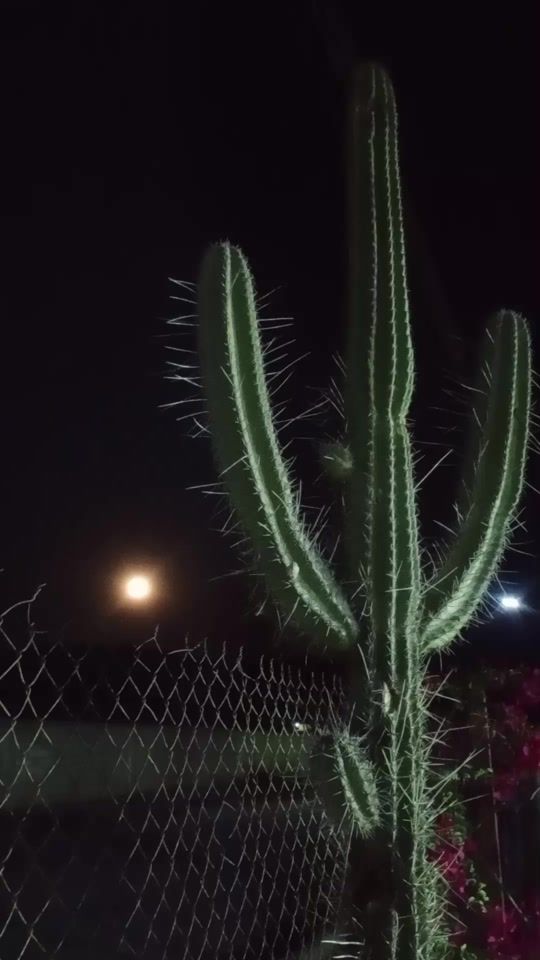 TikTok video thumbnail by romn522