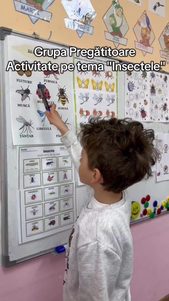 TikTok video thumbnail by sun.kids.academymoldova