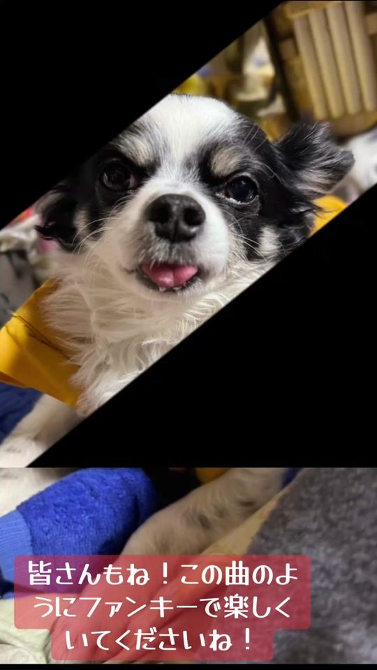 TikTok video thumbnail by user5872429930065