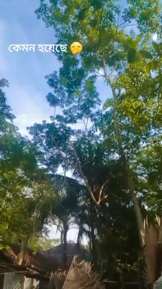 TikTok video thumbnail by surma659