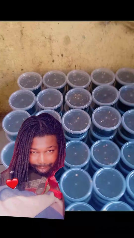 TikTok video thumbnail by touba561
