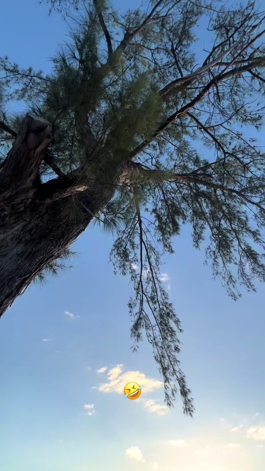 TikTok video thumbnail by _giv_esh_