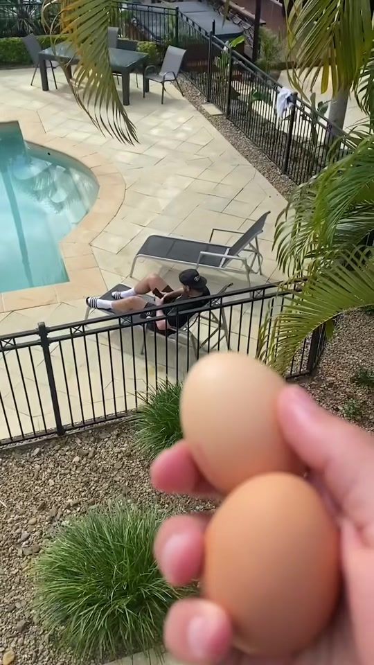 TikTok video thumbnail by laastehond22