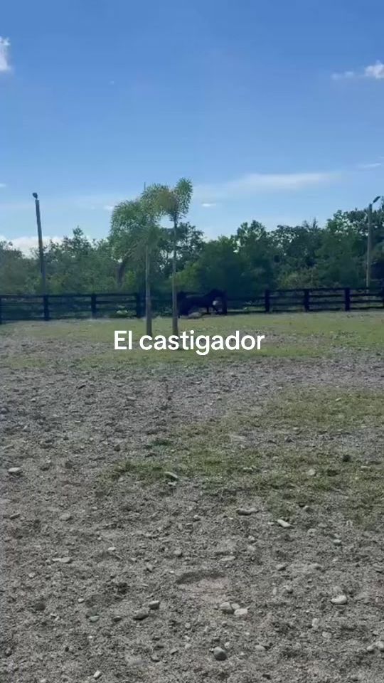 TikTok video thumbnail by ranchosr