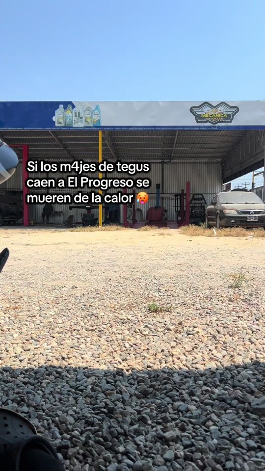 TikTok video thumbnail by orellana_bicho.man