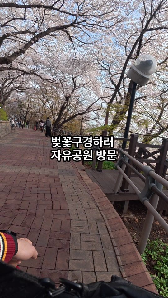 TikTok video thumbnail by mcwoon1023