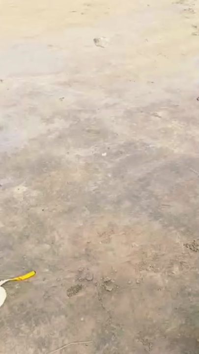 TikTok video thumbnail by davidsongo231