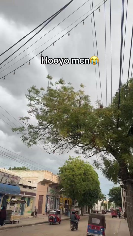 TikTok video thumbnail by coldoon.85