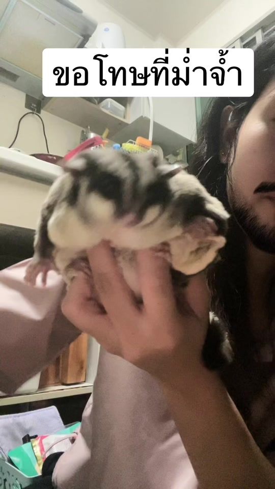 TikTok video thumbnail by chubbysugra