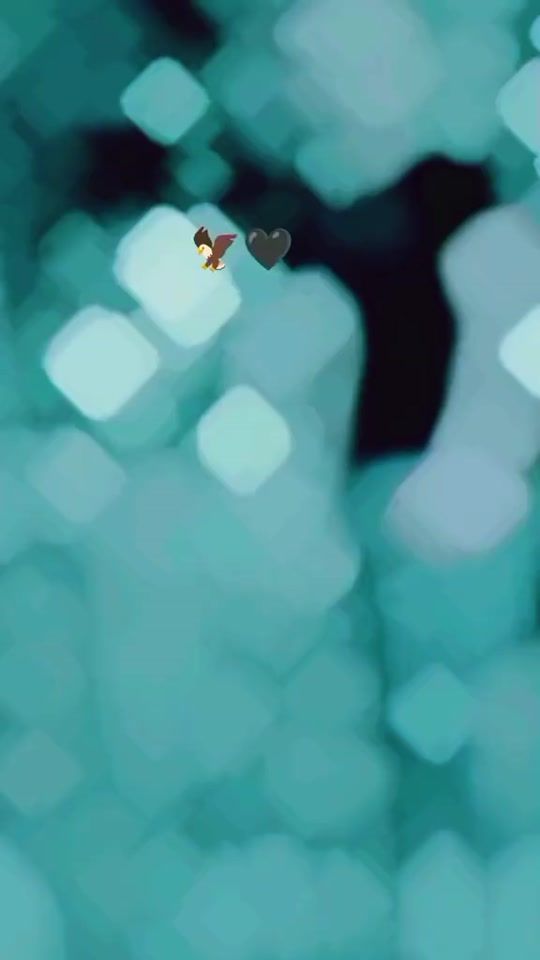 TikTok video thumbnail by rashidhani5