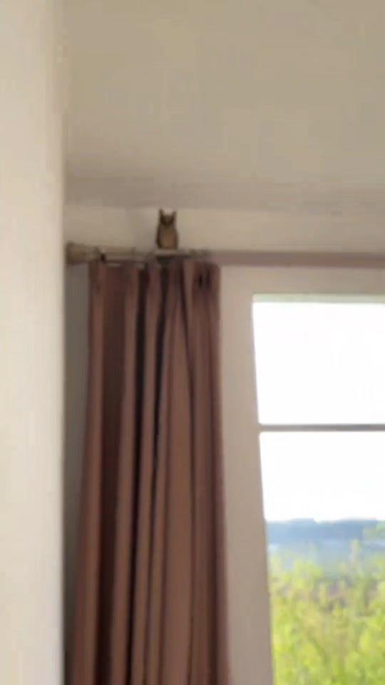 TikTok video thumbnail by bekbolsn30