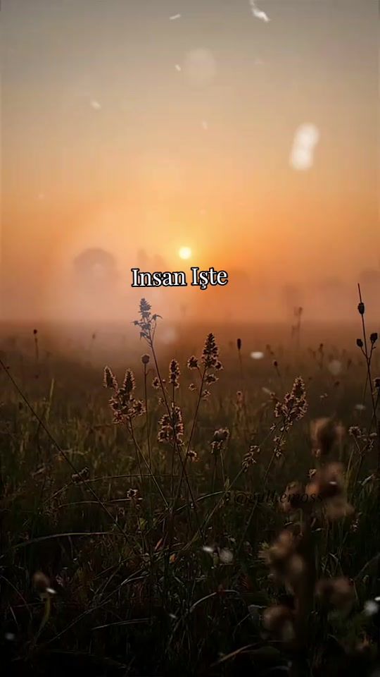 TikTok video thumbnail by gull.emoss
