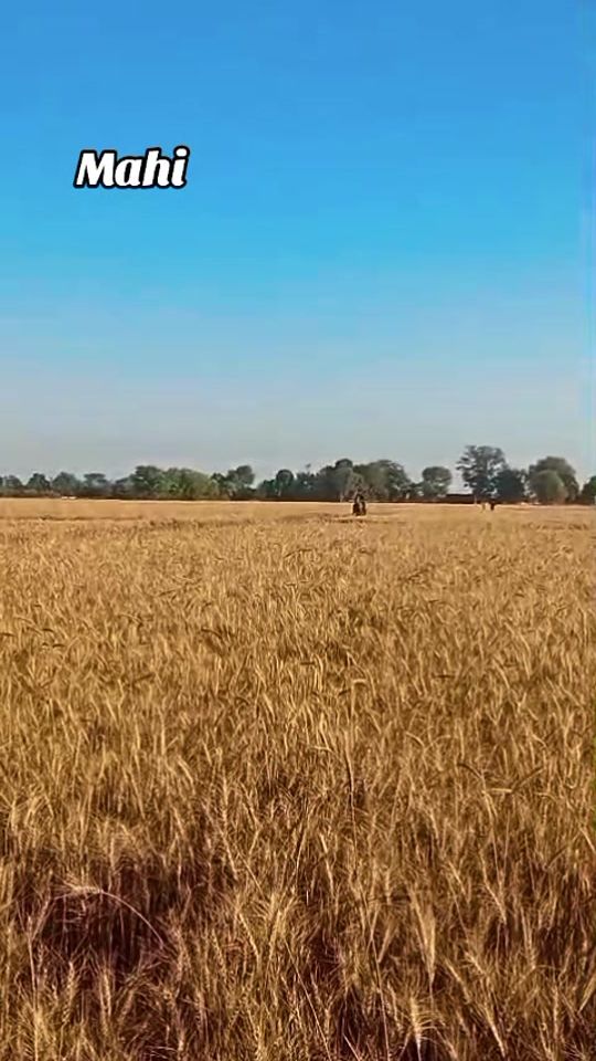 TikTok video thumbnail by hukamjutt5