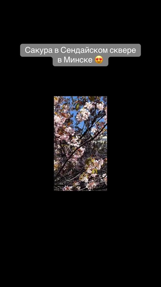 TikTok video thumbnail by utka.by