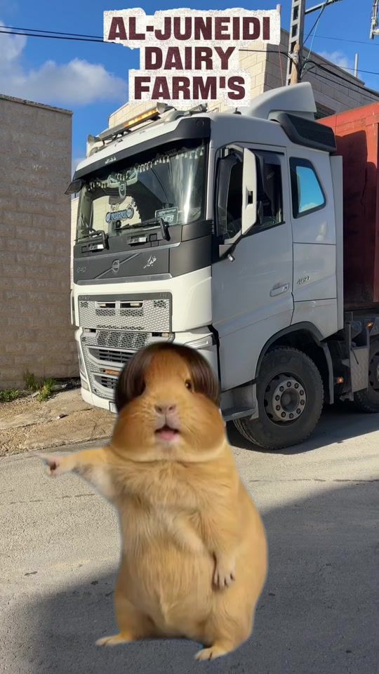 TikTok video thumbnail by abuyones