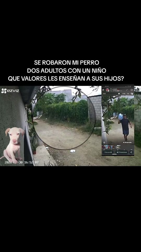 TikTok video thumbnail by latucademanabi