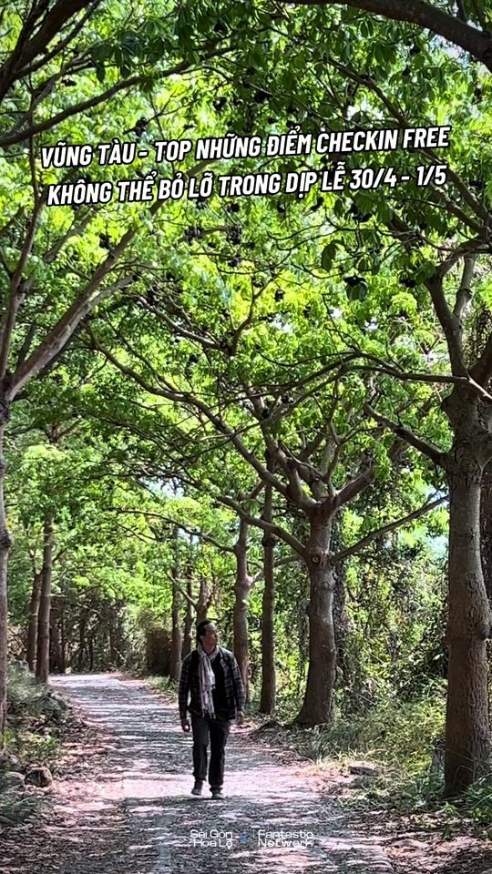 TikTok video thumbnail by saigonhoale.vn