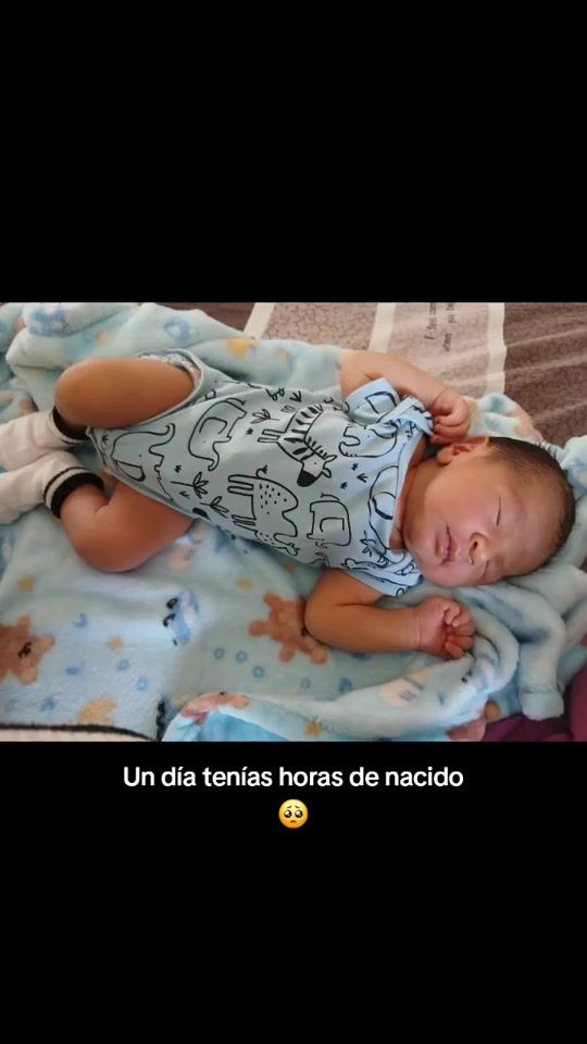 TikTok video thumbnail by masielitarodriguez