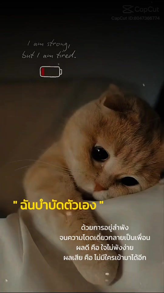 TikTok video thumbnail by ningning051