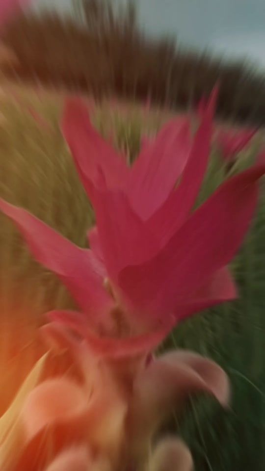 TikTok video thumbnail by chaboo35